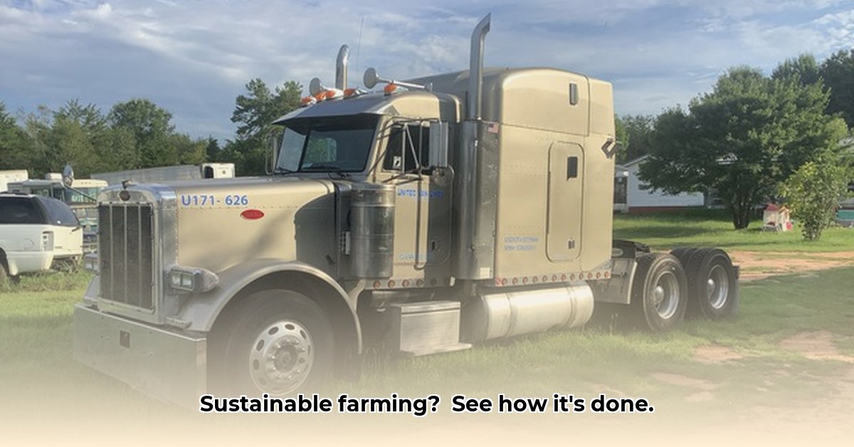 low-country-truck-and-tractor